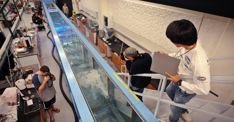 Views of the wave tank in action in Chapman Hall at the University of North Carolina at Chapel Hill.From left are, Casey Smith, Jeffrey Olander, Rich McLaughlin, Keith Mertens, and Sungduk Yu