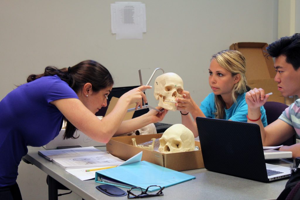 Students measure a skull