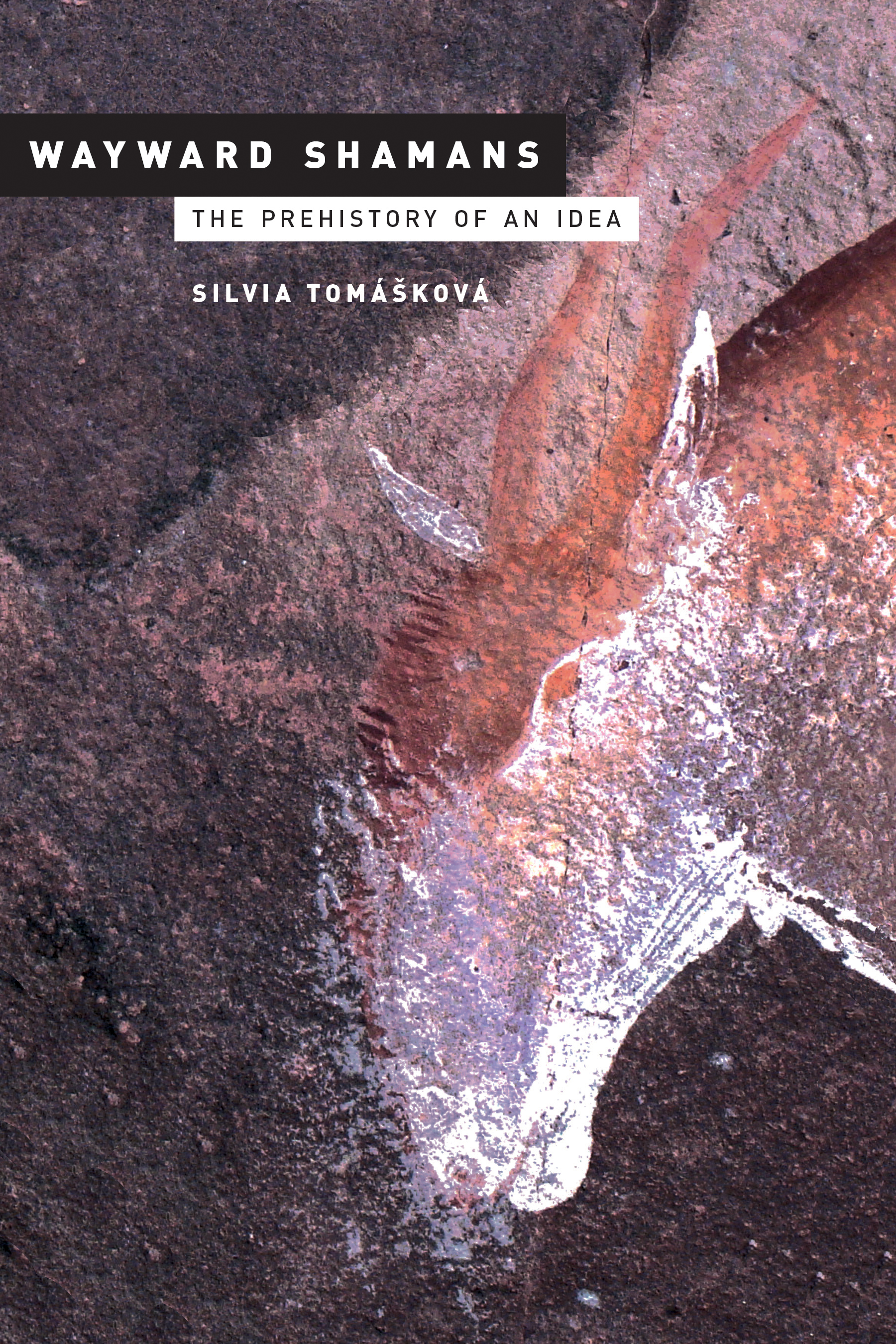 Tomaskova's book challenges the notion that the rock art drawings were down by shamans under hallucinogenic trance.