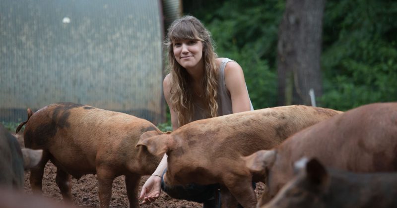 Sarah Blacklin surrounded by hogs on a farm
