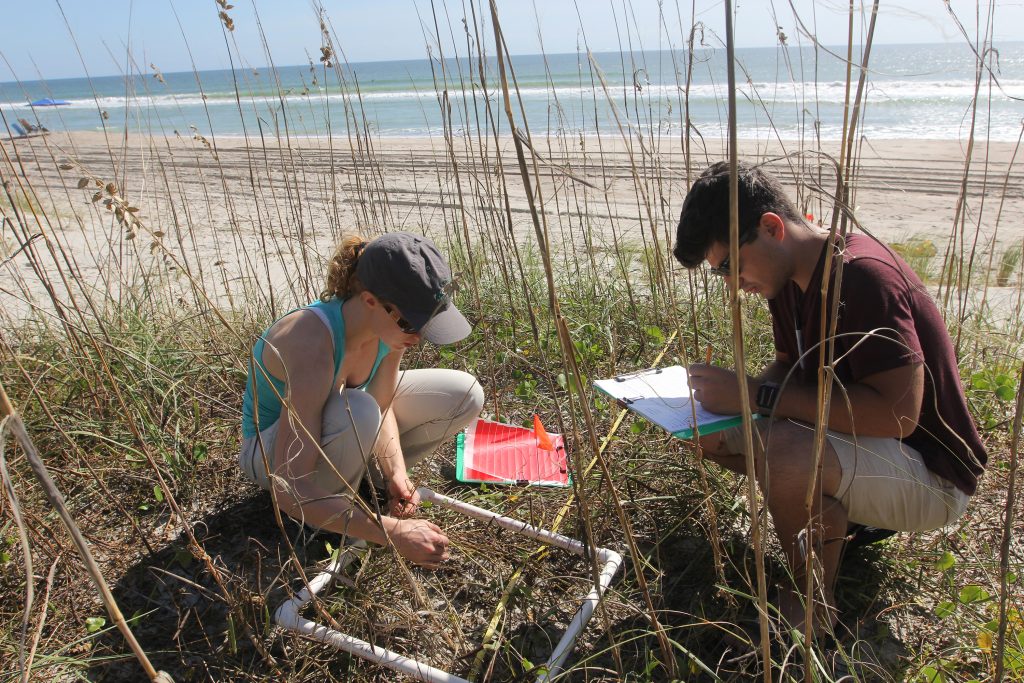 Paige Havenga (left) and Michael Itzkin use a quadrat to quantify the amount and variety of vegetation on a dune. (photo by Mary Lide Parker)