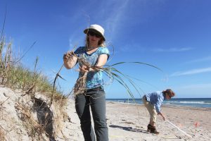 Laura Moore inspects some sea oats