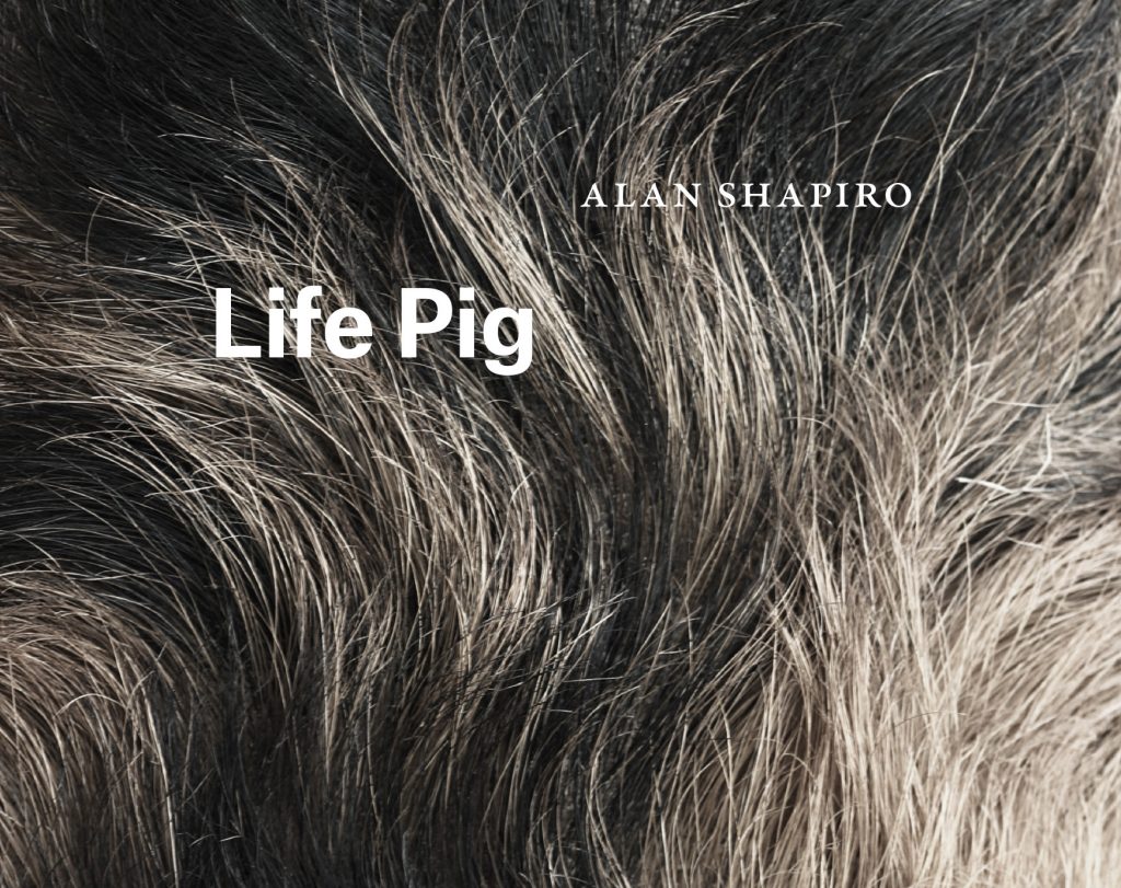 "Life Pig" book cover