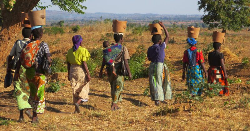 Women walk home carrying fuel-saving cookstoves in Kasungu, Malawi. A new $4.8 million NSF grant will help researchers study how to alleviate energy poverty in Southern Africa.
