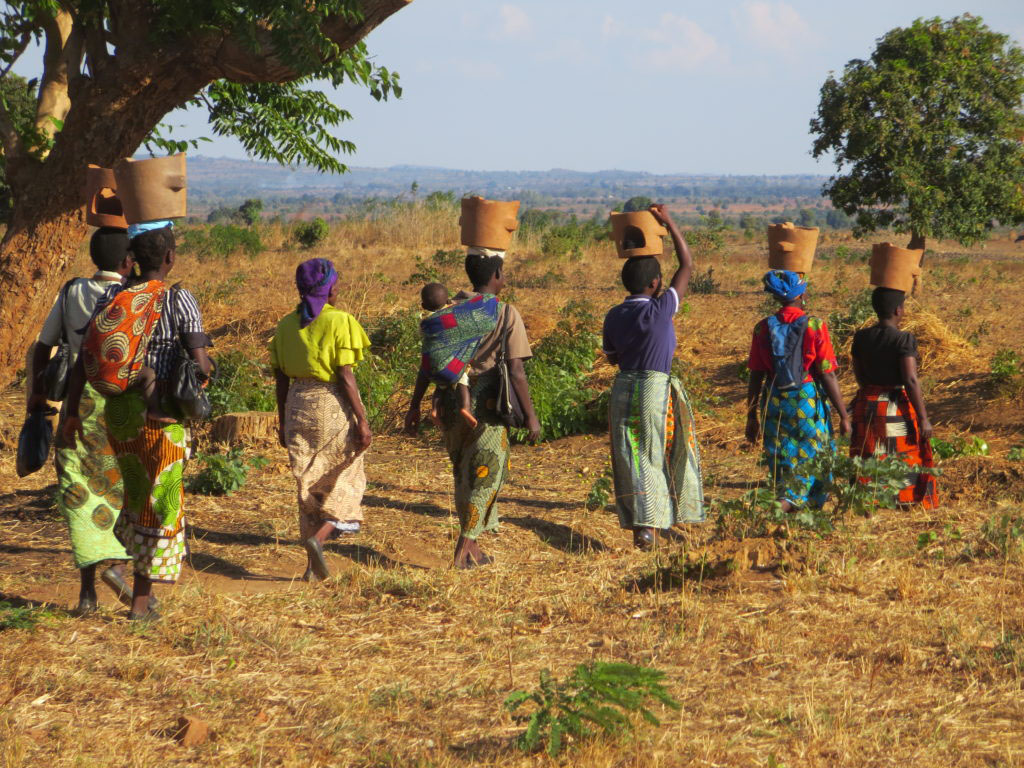 Women walk home carrying fuel-saving cookstoves in Kasungu, Malawi. A new $4.8 million NSF grant will help researchers study how to alleviate energy poverty in Southern Africa.