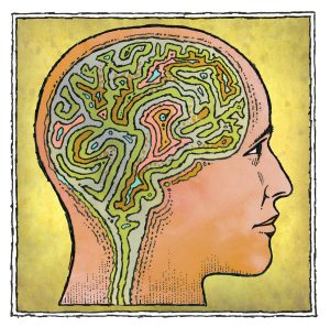 Image shows a head in profile with the brain inside. Illustration by John Roman.