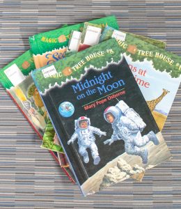 A stack of Magic Tree House books