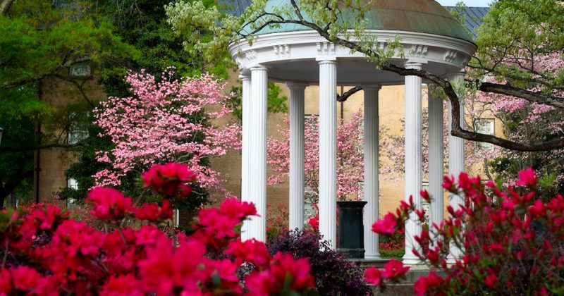 Spring campus scene on the campus of the University of North Carolina at Chapel Hill. April 17, 2018. (Jon Gardiner/UNC-Chapel Hill)