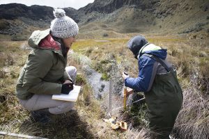Maribel Herrera and Nehemiah Stewart, also first-gen students, record water velocity and channel depth and width of one of their stream sites.