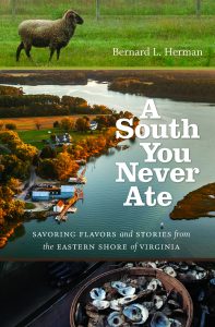 A South You Never Ate book cover