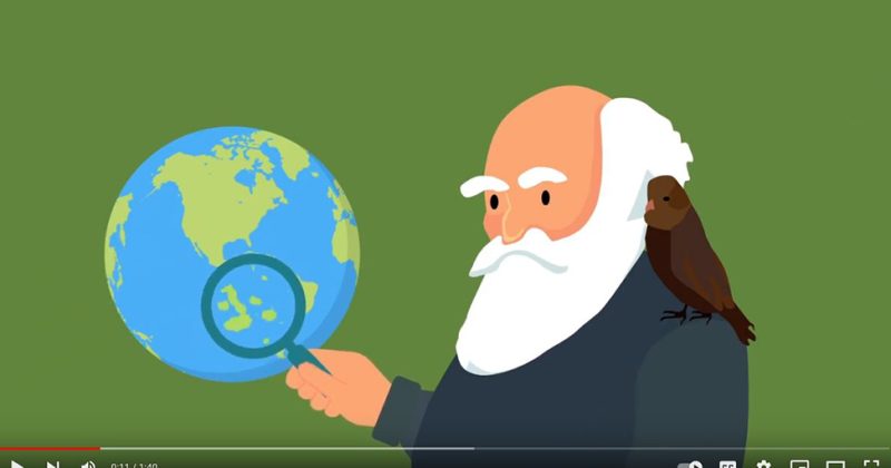 A cartoon figure of Charles Darwin is shown looking at a globe in this screen capture from the animated Galapagos video.