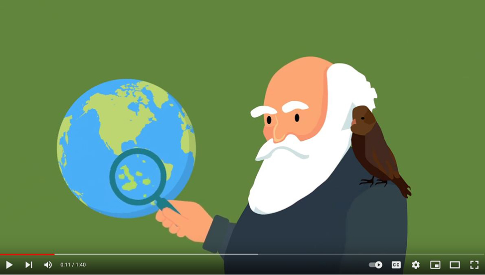 A cartoon figure of Charles Darwin is shown looking at a globe in this screen capture from the animated Galapagos video.