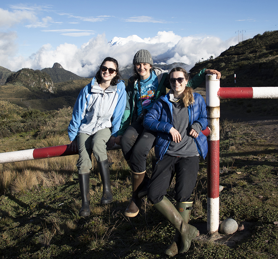 Tessa Davis, Kriddie Whitmore and Liz Farquhar sit on a pole with a volcano in the background.