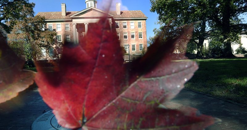 A photo of a fall leaf in front of the South Building on UNC-Chapel Hill's campus
