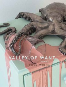 book cover for Valley of Want