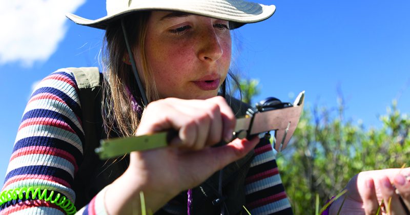 Emma Reinhardt examines a bird as she kneels in the field doing research.