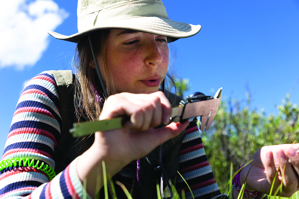 Emma Reinhardt examines a bird as she kneels in the field doing research.