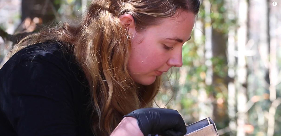 A UNC female student crouches to look at a small wild animal while working in the field.