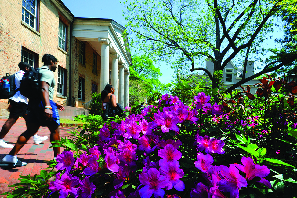 Bush with pink flowers in foreground, students walking by and campus building in background.