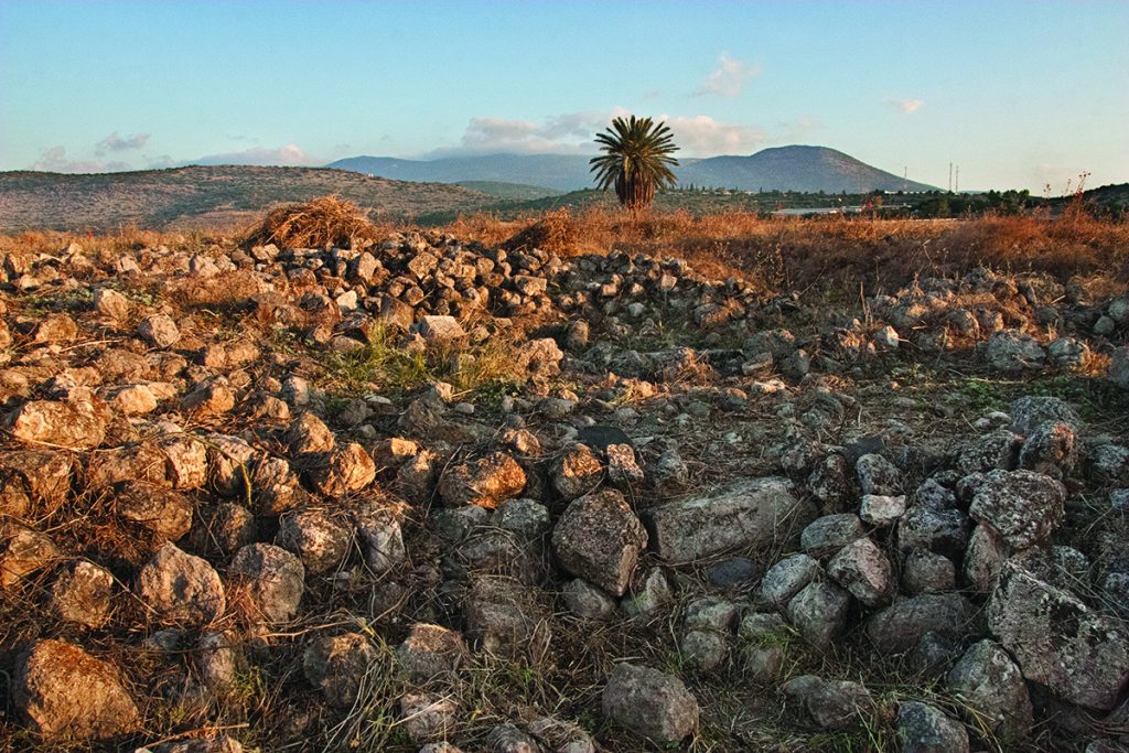 A field on a hill shows a rocky terrain with a tree in the background and mountains or hills.