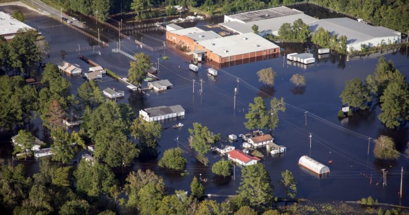 Overhead view of a flooded area, the tops of buildings and trees visible above the surface of the water.
