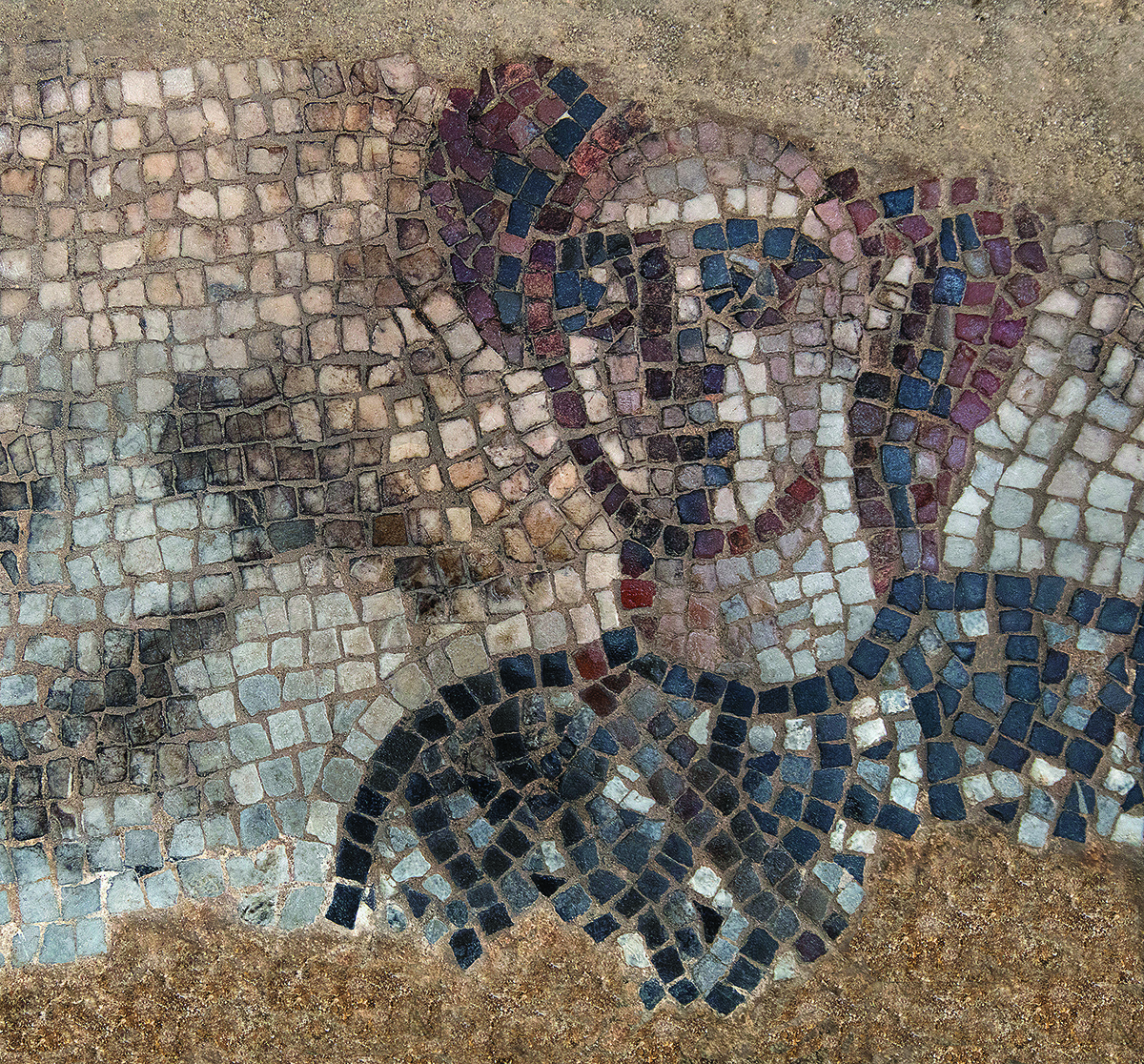 A closeup of the Barak mosaic.