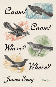 Book cover for "Come Come Where Where"
